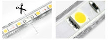 Load image into Gallery viewer, 30 - 100 meter led strips rull tekshop.no