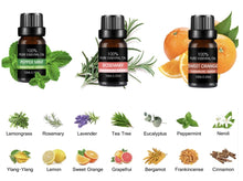 Load image into Gallery viewer, Essential Oils 10ml Luxury 100% Pure Aromatherapy tekshop.no
