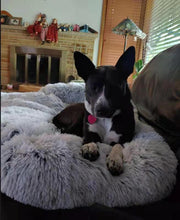 Load image into Gallery viewer, Hundeseng teppe til sofa tekshop.no