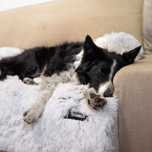 Hundeseng teppe til sofa tekshop.no