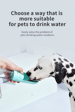 Load image into Gallery viewer, Vannflaske til hund Inkl. vannfilter - Pet travel water bottle - tekshop.no