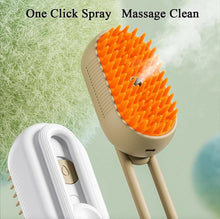 Load image into Gallery viewer, 3-i-1 Steamy pet brush elektrisk kam børste med damp og massasje tekshop.no