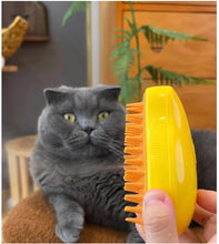 Load image into Gallery viewer, 3 In 1 Steamy Cat and Dog Grooming Brush - Steam Brush tekshop.no