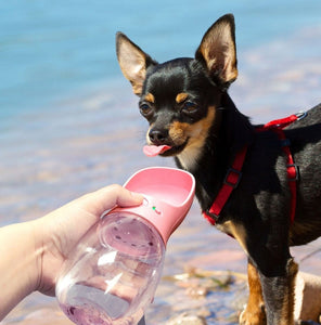 Drikkeflaske vannflaske til hund tekshop.no