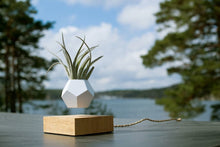 Load image into Gallery viewer, Svevende blomsterpotte - Floating Flower Pot Levitating Plant tekshop.no