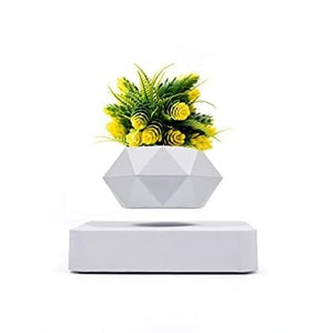 Svevende blomsterpotte - Floating Flower Pot Levitating Plant tekshop.no